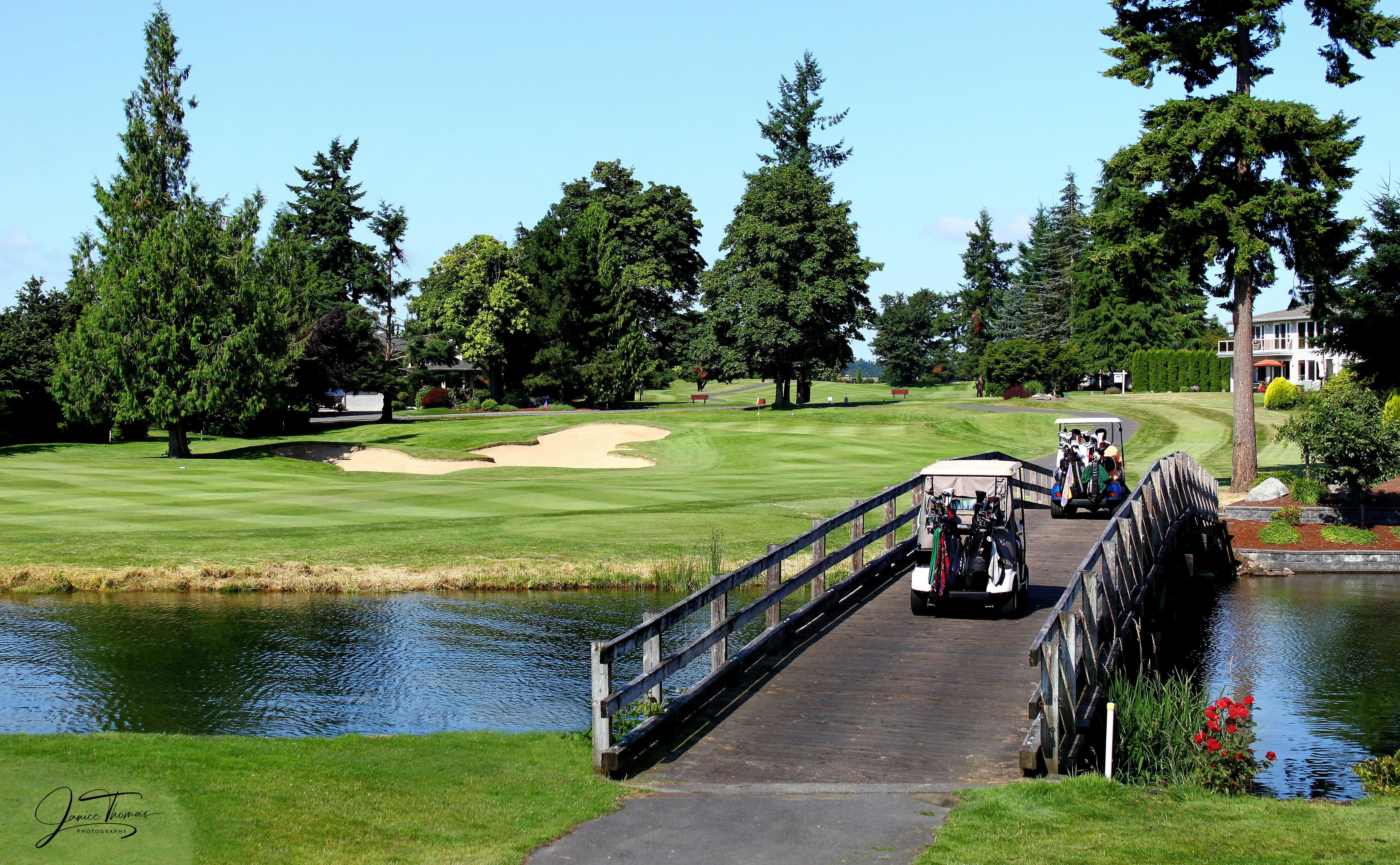 Cart path over pond
